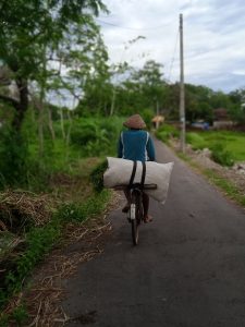 Ngarit untuk Pakan Ternak